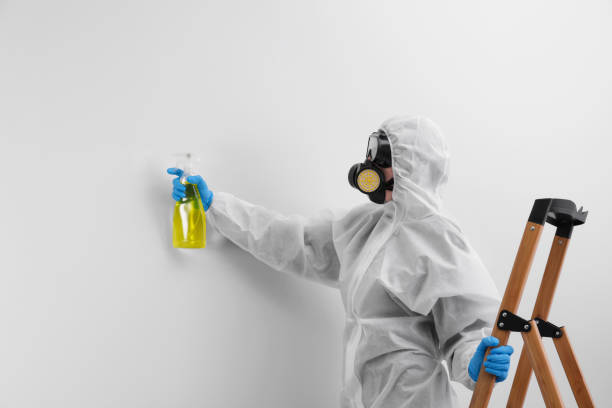 Why You Should Choose Our Mold Remediation Services in Long Beach, WA